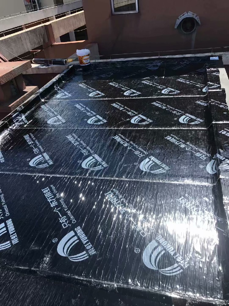 厂房屋面防水补漏